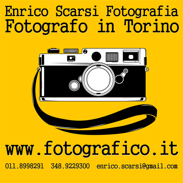gallery 554