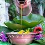 gallery thumn 2306