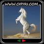 gallery thumn 1566